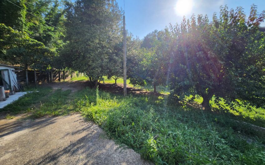 Vendita : Villa in Campagna San Giacomo Degli Schiavoni