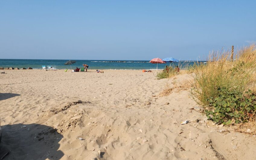 Campomarino Lido: Trilocale fronte mare, nuova costruzione